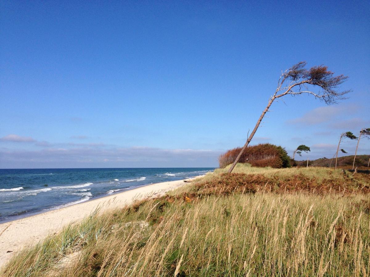 Hotel-pension Seeadler * Prerow